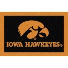 Iowa Hawkeyes 5' x 8' Team Door Mat by