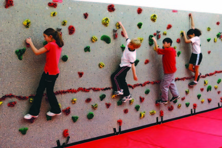 10' H x 4' W Standard Climbing Wall Panel With 25 Groperz Hand Holds from Everlast Climbing