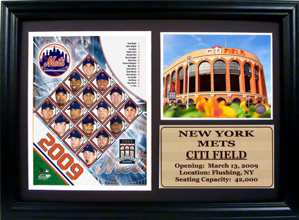 2009 New York Mets Team Photograph with Statistics Nested on a 12" x 15" Plaque 