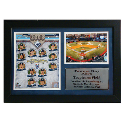 Tampa Bay Rays ALCS Champions Tropicana Field Photograph with Statistics Nested on a 12" x 15" Plaque 