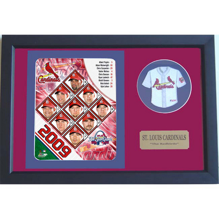 2009 St. Louis Cardinals Photograph with Team Jersey Patch in a 12" x 18" Deluxe Frame