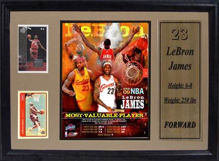 LeBron James "MVP" 8" x 10" Photograph with Statistics in a Deluxe Frame