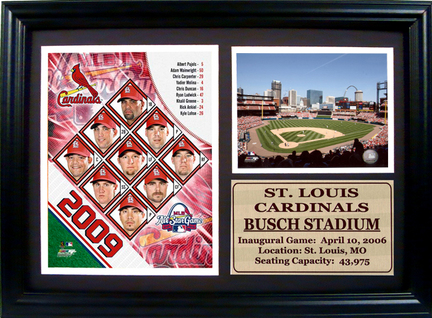 2009 St. Louis Cardinals Photograph with Team Pennant in a 12" x 18" Deluxe Frame