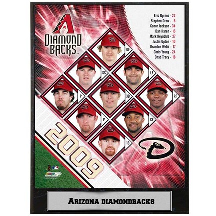 Arizona Diamondbacks Team Photograph Nested on a 9" x 12" Plaque