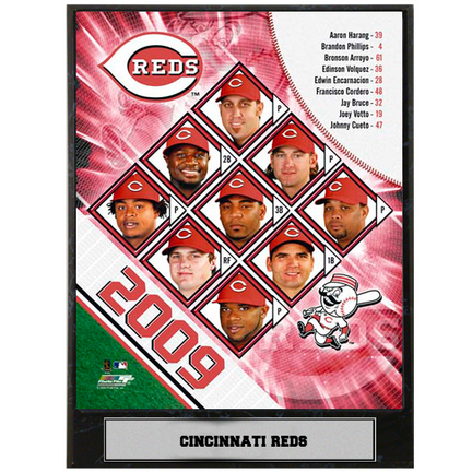 Cincinnati Reds 2009 Team Photograph Nested on a 9" x 12" Plaque