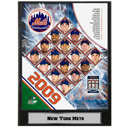New York Mets 2009 Team Photograph Nested on a 9" x 12" Plaque