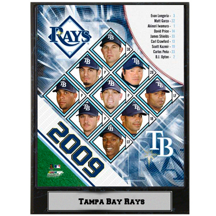 Tampa Bay Rays 2009 Team Photograph Nested on a 9" x 12" Plaque