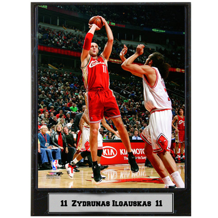 Zydrunas Ilgauskas Photograph Nested on a 9" x 12" Plaque 