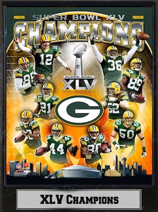 Green Bay Packers Super Bowl XLV Champions 9" x 12" Statistics Plaque