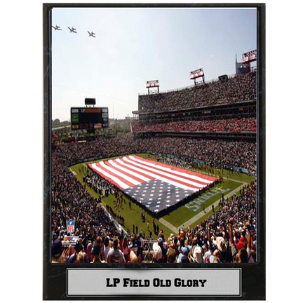 LP Field and Old Glory Photograph Nested on a 9" x 12" Plaque