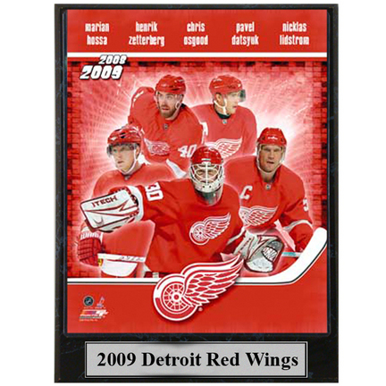 2009 Detroit Red Wings Photograph Nested on a 9" x 12" Plaque