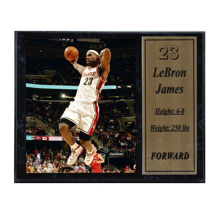 LeBron James 2009 Photograph with Statistics Nested on a 12" x 15" Plaque