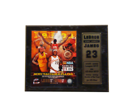LeBron James MVP Photograph with Statistics Nested on a 12" x 15" Plaque