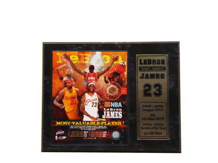 LeBron James MVP Photograph with Statistics Nested on a 12" x 15" Plaque