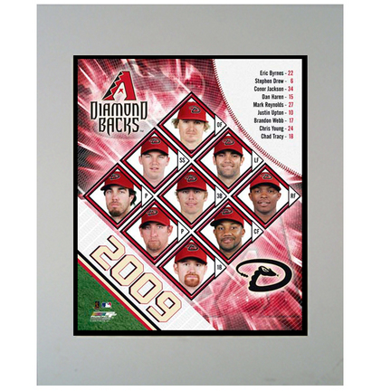 2009 Arizona Diamondbacks Team 11" x 14" Matted Photograph (Unframed)