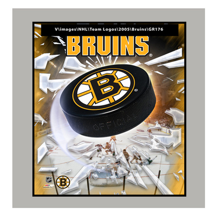 Boston Bruins Team Logo Photograph 11" x 14" Matted Photograph (Unframed)