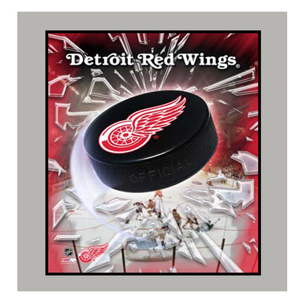 Detroit Red Wings Team Logo Photograph 11" x 14" Matted Photograph (Unframed)