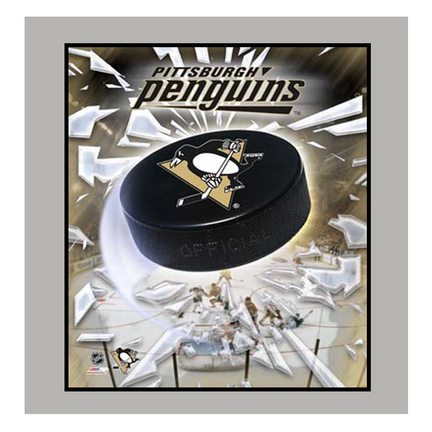 Penguins Team Logo 2009 11" x 14" Matted Photograph (Unframed)