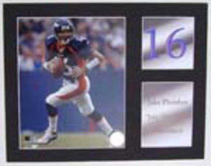 Jake Plummer Photograph 11" x 14" Matted Photograph with Statistics (Unframed)