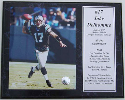 Jake Delhomme Photograph with Statistics Nested on a 12" x 15" Plaque