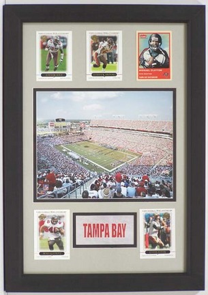 Tampa Bay Buccaneers Raymond James Stadium Photograph with 5 Trading Cards in a 12" x 18" Deluxe Frame