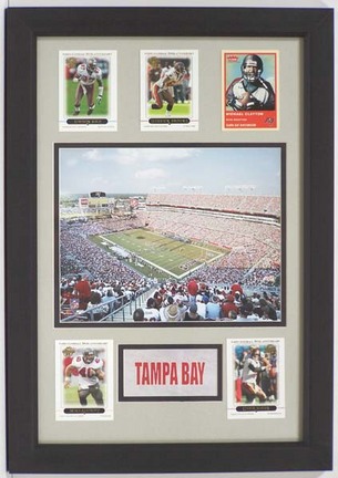 Tampa Bay Buccaneers Raymond James Stadium Photograph with 5 Trading Cards in a 12" x 18" Deluxe Frame