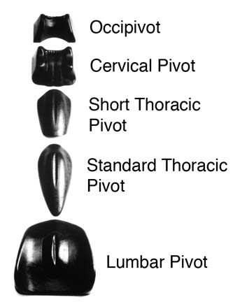 Soft Tissue System Pivotal Therapy Set