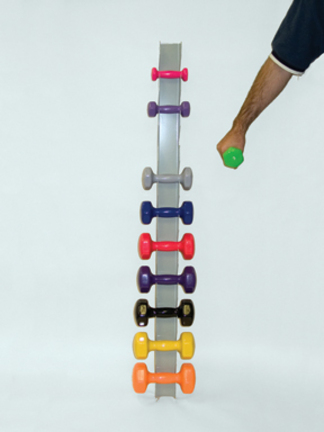 Vinyl Coated Dumbbell Wall Rack