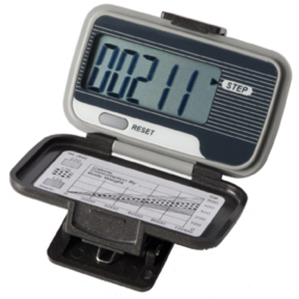 Ekho&reg; ONE Pedometer