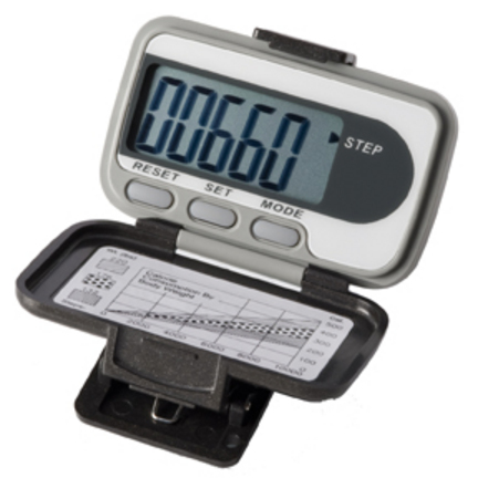 Ekho&reg; TWO Pedometer