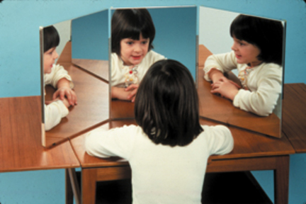 3-Panel Ultra-Safe Glassless Speech Therapy Mirror (12" x 16" Panels)