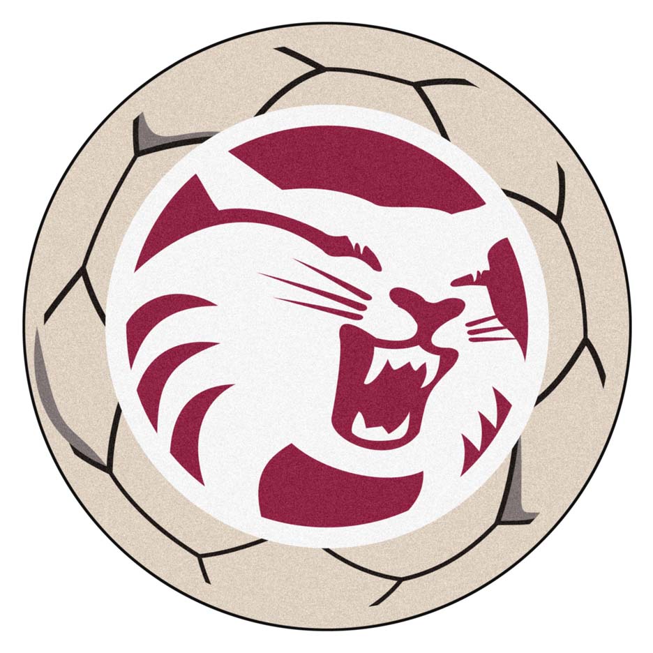 27" Round California State (Chico) Wildcats Soccer Mat