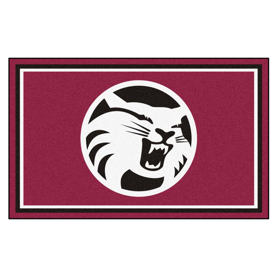 California State (Chico) Wildcats 4' x 6' Area Rug