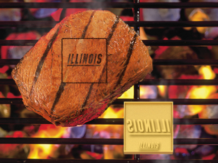 Illinois Fighting Illini Fan Brand (Set of 2) - Branding Irons