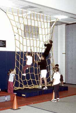 10' W x 10' H Heavy-Duty Indoor Climbing Net
