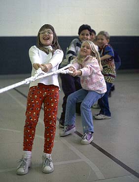 50'  Spun Poly Tug-O-War Rope with Hand Loops