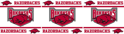 Arkansas Razorbacks 5" x 15' Wall Border from Kentex