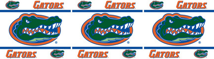 Florida Gators 5" x 15' Wall Border from Kentex