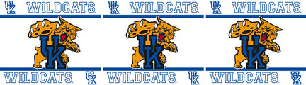 Kentucky Wildcats 5" x 15' Wall Border from Kentex