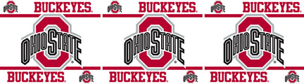 Ohio State Buckeyes 5" x 15' Wall Border from Kentex