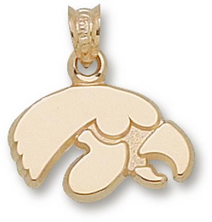 "Iowa Hawkeyes ""Tiger Hawk"" Lapel Pin - 10KT Gold Jewelry"