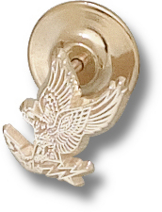 "Air Force Academy Falcons ""Falcon"" 1/2"" Lapel Pin - 10KT Gold Jewelry"