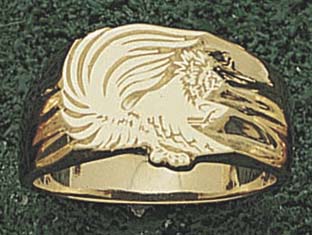 "Iowa Hawkeyes ""Tiger Hawk"" 1/4"" Lapel Pin - 10KT Gold Jewelry"