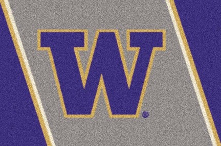 Washington Huskies 7' 8" x 10' 9" Team Spirit Area Rug