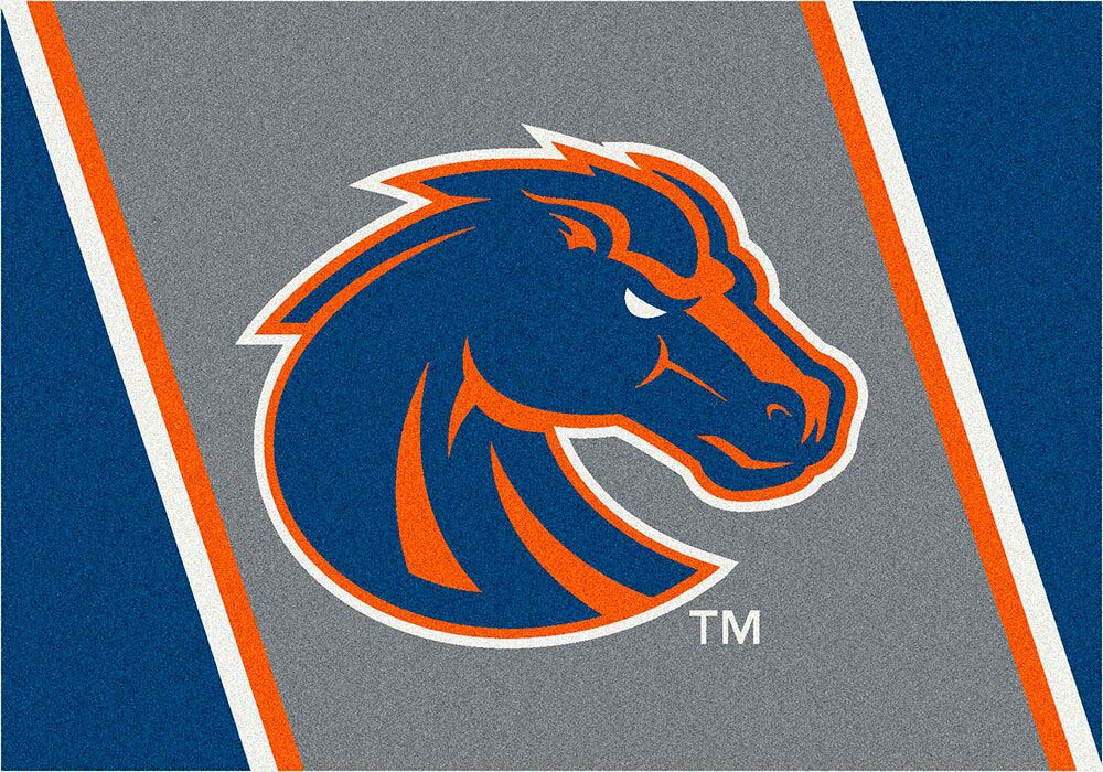 Boise State Broncos 3'10"x 5'4" Team Spirit Area Rug