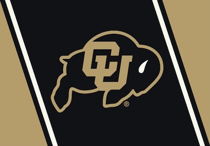 Colorado Buffaloes 3'10"x 5'4" Team Spirit Area Rug