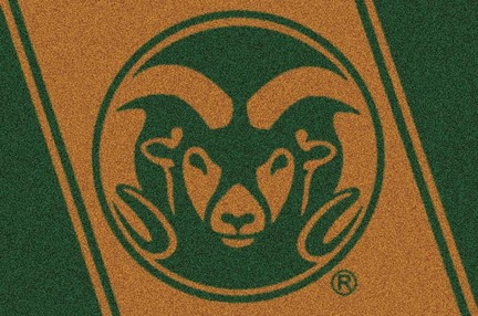 Colorado State Rams 5' 4" x 7' 8" Team Spirit Area Rug