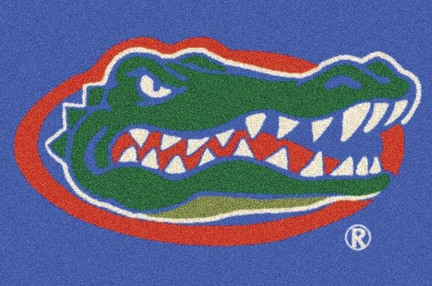 Florida Gators 5' 4" x 7' 8" Team Spirit Area Rug