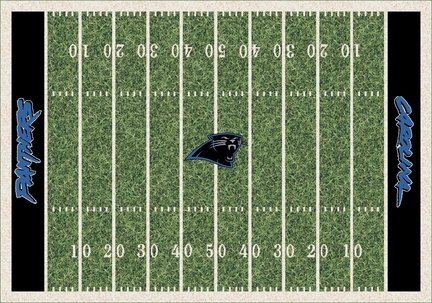 Carolina Panthers 7' 8" x 10' 9" NFL Home Field Area Rug