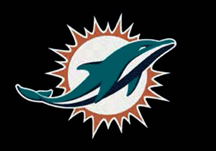 Miami Dolphins 7' 8" x 10' 9" Team Spirit Area Rug